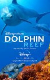 Dolphin Reef Türkçe Altyazılı 2020 Filmi izle
