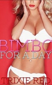 Bimbo’nun Büyük Partisi Erotik Film izle